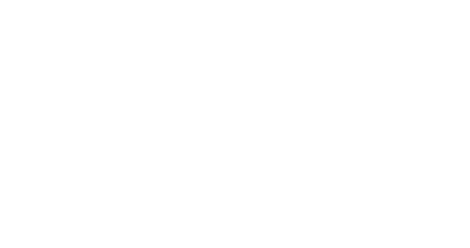 PAL Construction Services_White